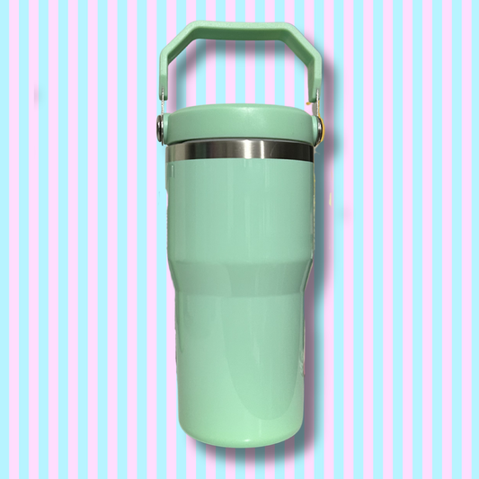 20oz Stainless Steel Flip Lid