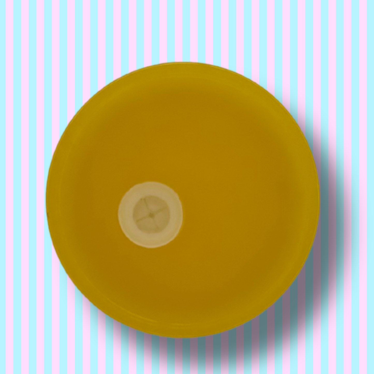 Jelly Lids